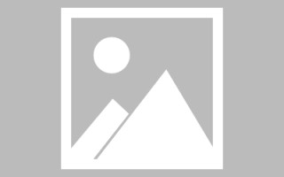张家界玉兔网站制作头像app（玉兔素材抠图）